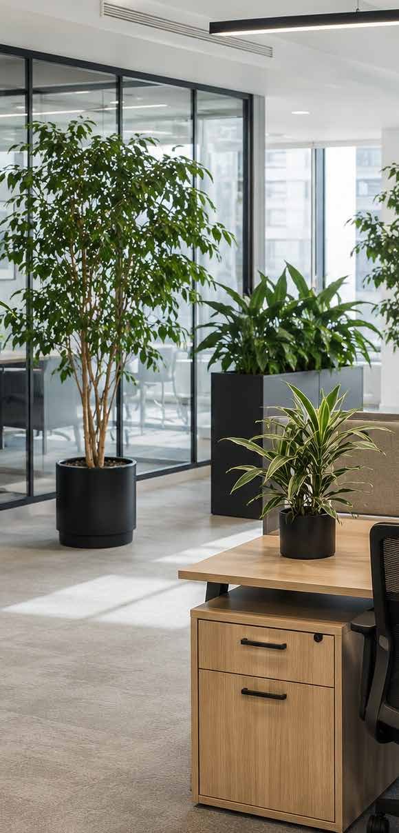 Oficina con plantas naturales, diseño de espacio verde