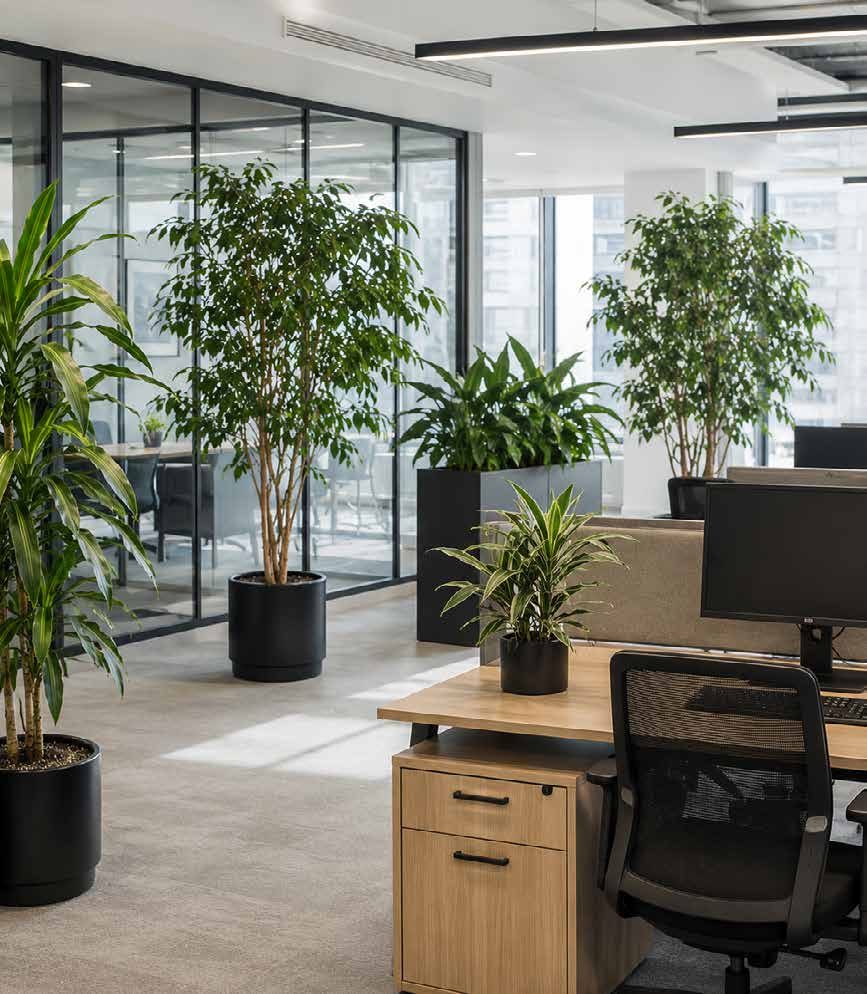 Oficina con plantas de interior
